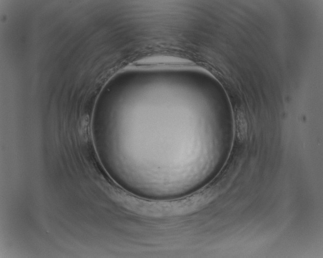 X0000073700034200608171124