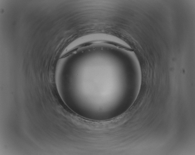 X0000073700035200608171124