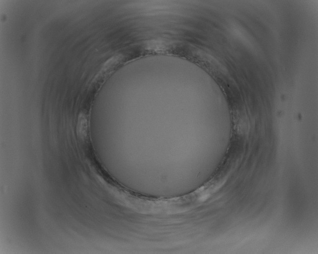 X0000073700036200608171124