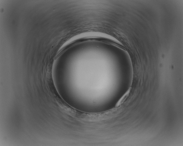 X0000073700037200608171124