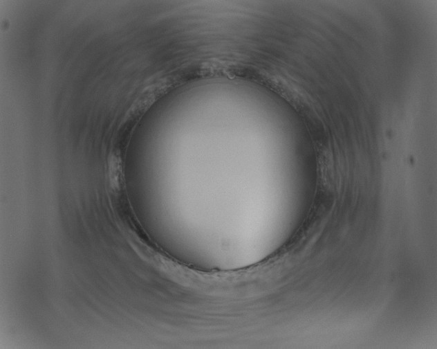 X0000073700038200608171124