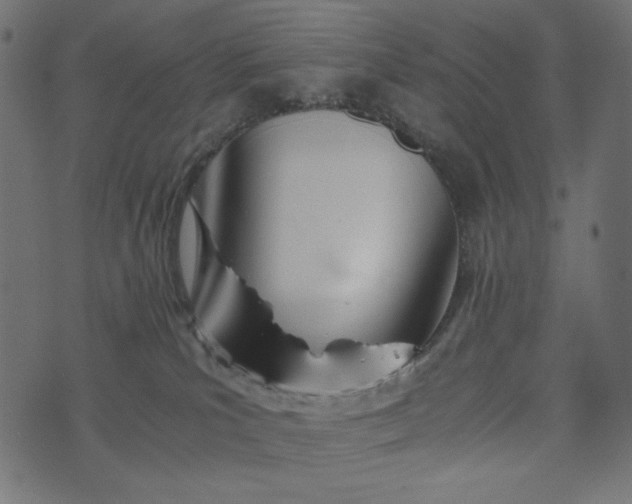 X0000073700039200608171124