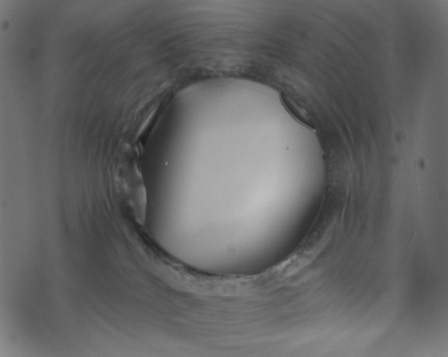 X0000073700040200608171124