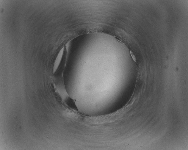 X0000073700041200608171124