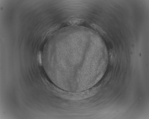 X0000073700042200608171124