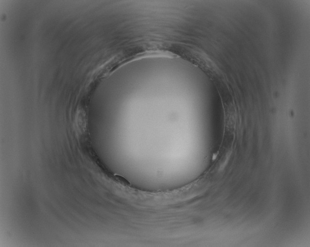 X0000073700043200608171124