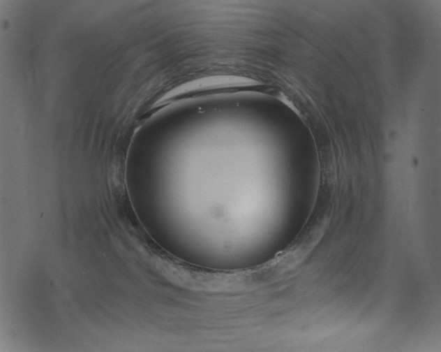 X0000073700044200608171124