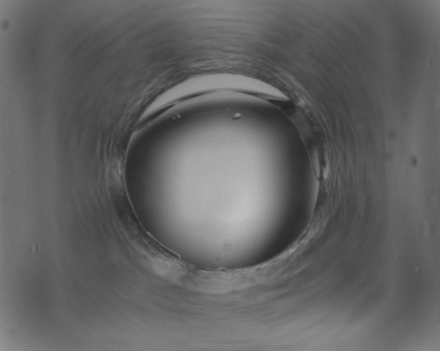 X0000073700045200608171124