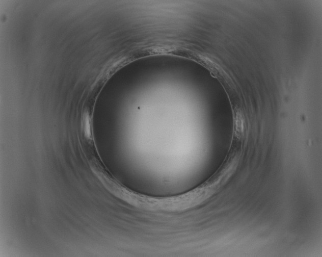 X0000073700046200608171124