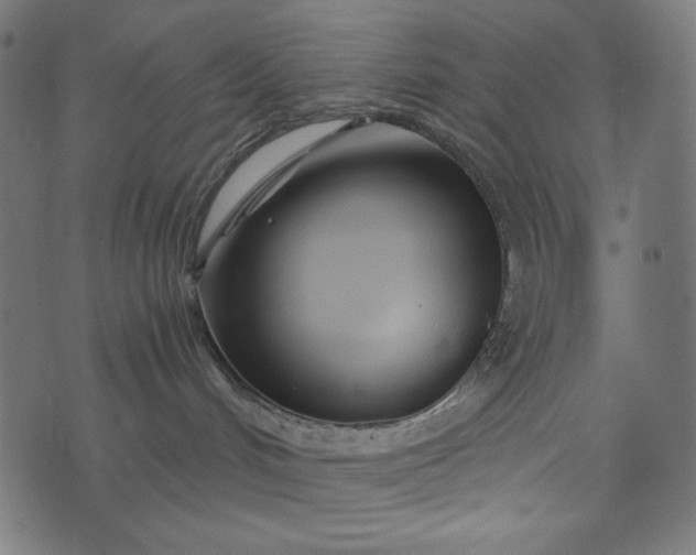 X0000073700048200608171124