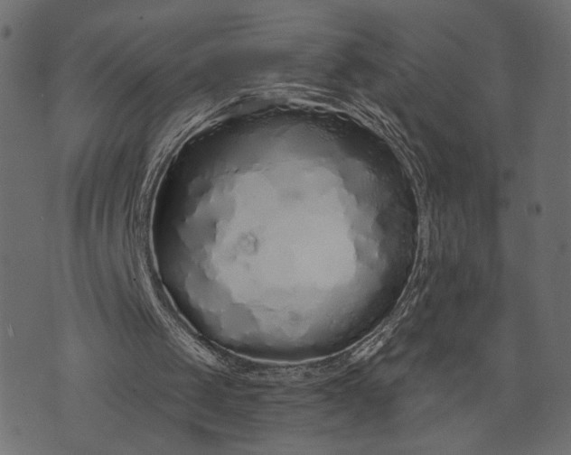 X0000073700049200608171123