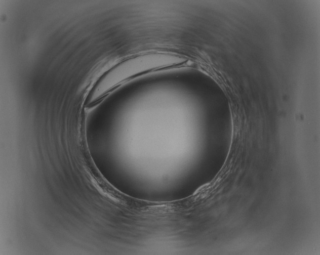 X0000073700050200608171123