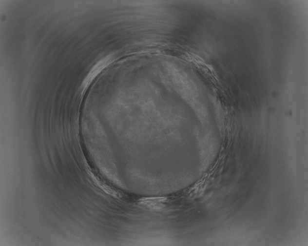 X0000073700051200608171123