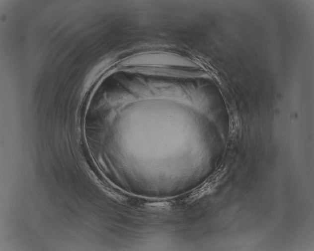 X0000073700053200608171123