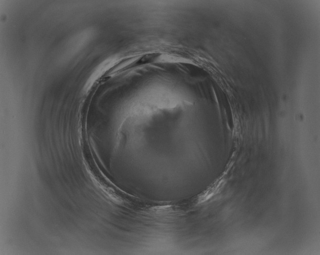 X0000073700054200608171123