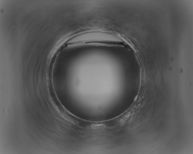 X0000073700055200608171123