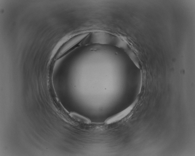 X0000073700056200608171123