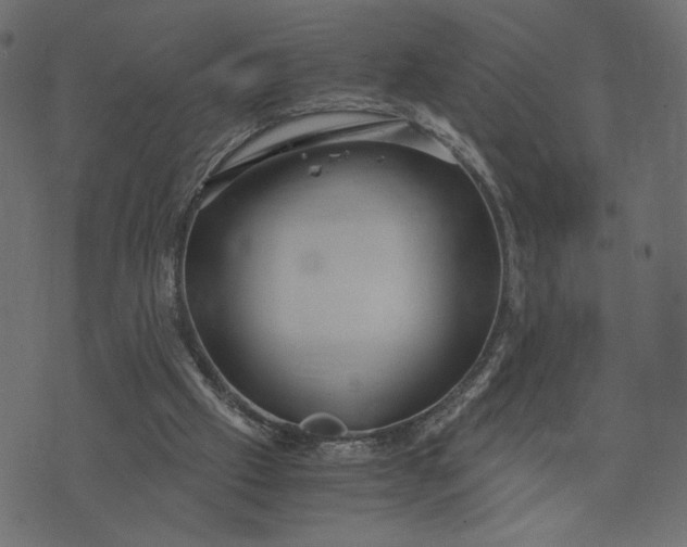 X0000073700057200608171123