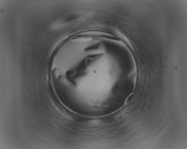 X0000073700059200608171123