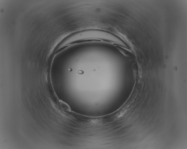 X0000073700060200608171123