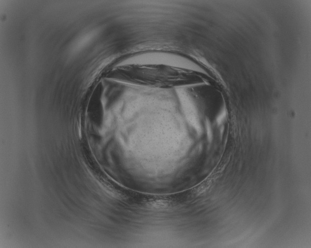 X0000073700062200608171123