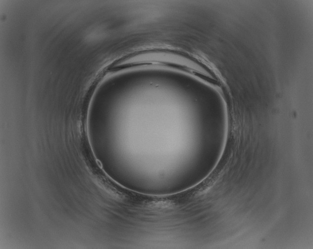 X0000073700063200608171123