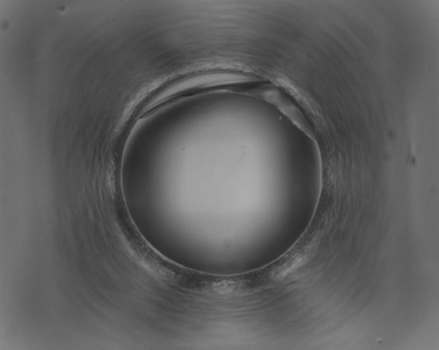 X0000073700064200608171123