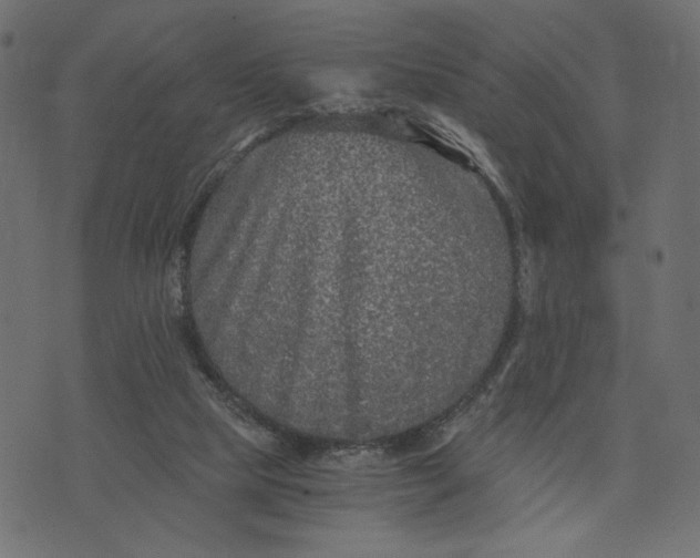 X0000073700065200608171123