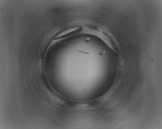 X0000073700066200608171123