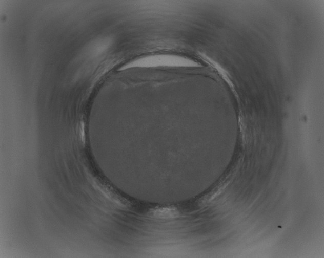 X0000073700067200608171123