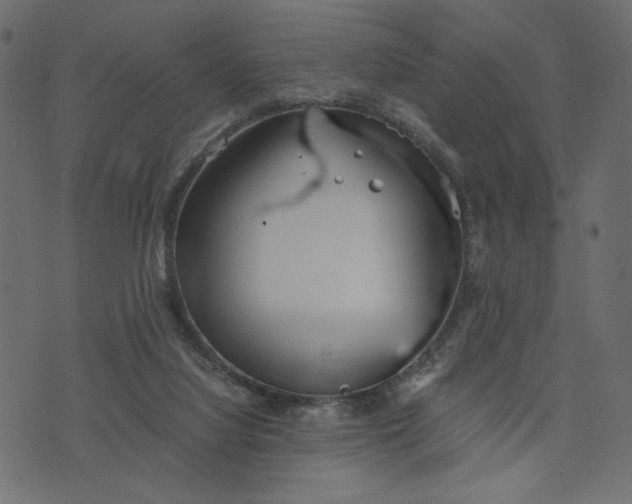 X0000073700068200608171123