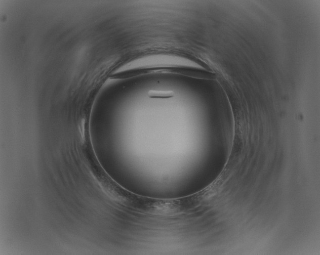 X0000073700070200608171123