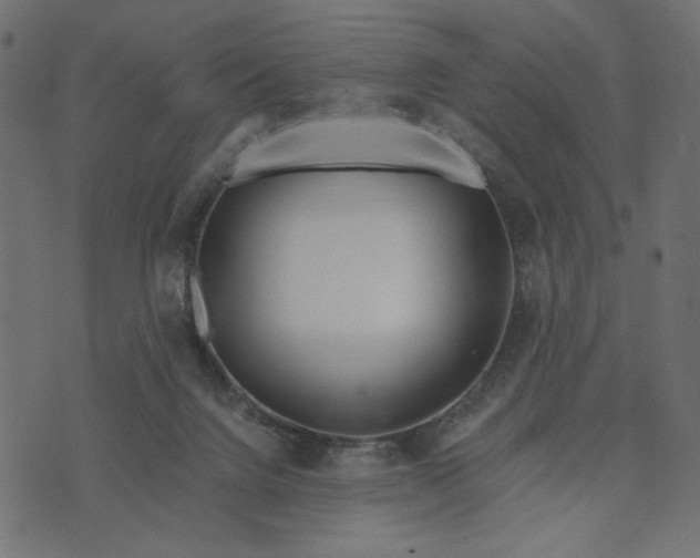 X0000073700072200608171123