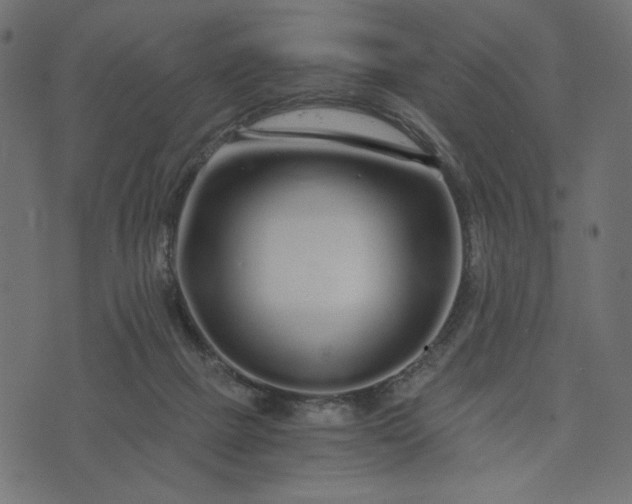 X0000073700073200608171123