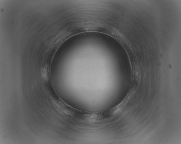 X0000073700074200608171123