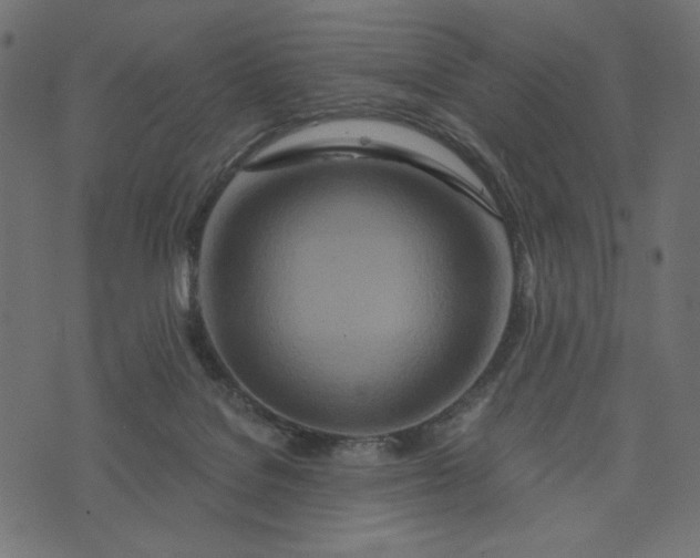 X0000073700076200608171123