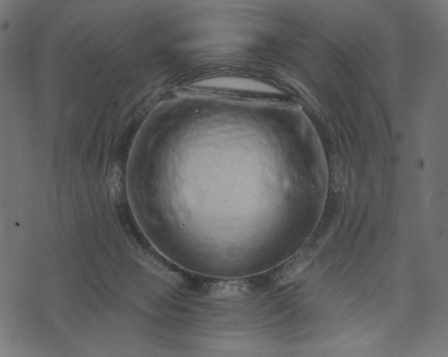 X0000073700077200608171123