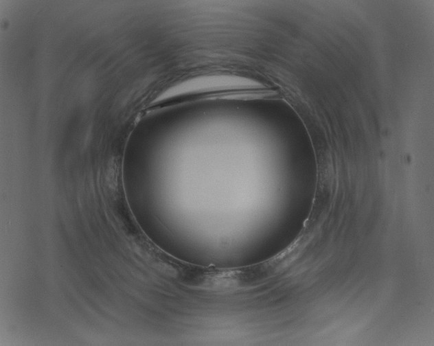 X0000073700078200608171124