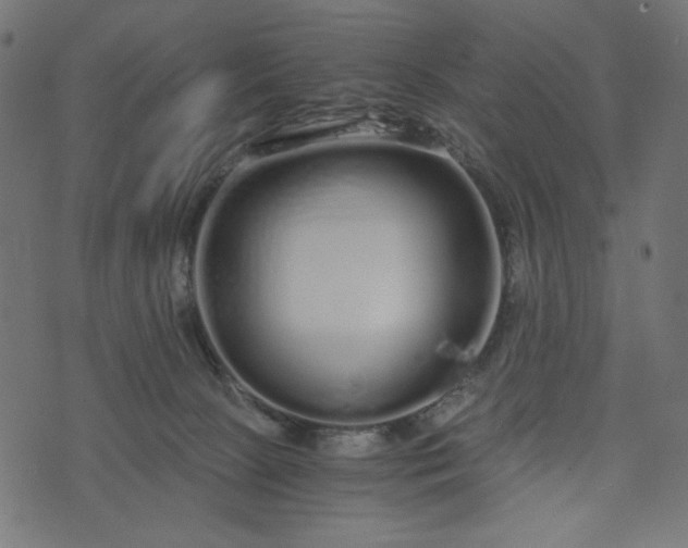 X0000073700081200608171124