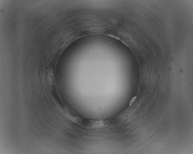 X0000073700083200608171124