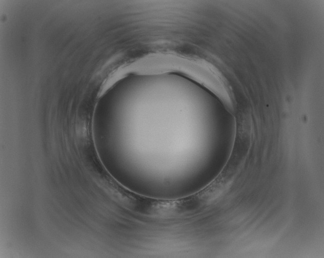 X0000073700084200608171124