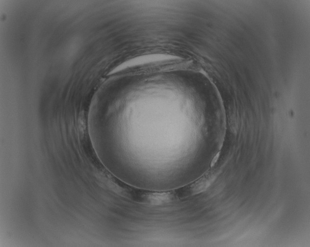 X0000073700085200608171124