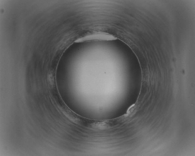 X0000073700086200608171124