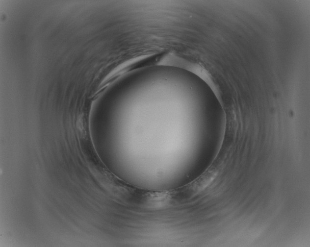 X0000073700088200608171124