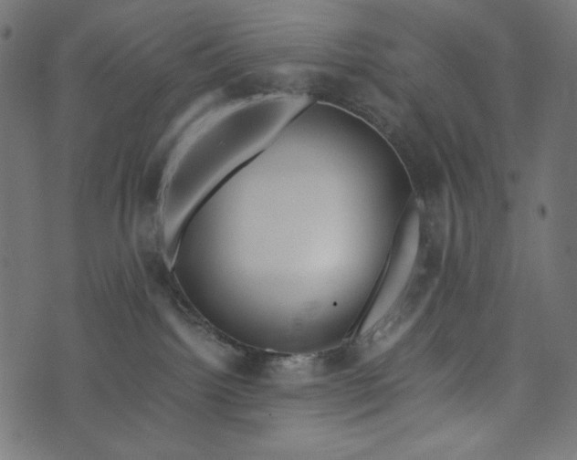 X0000073700092200608171124