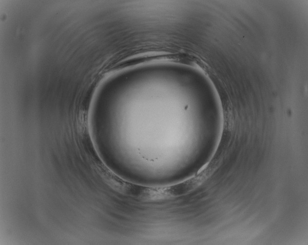 X0000073700093200608171124