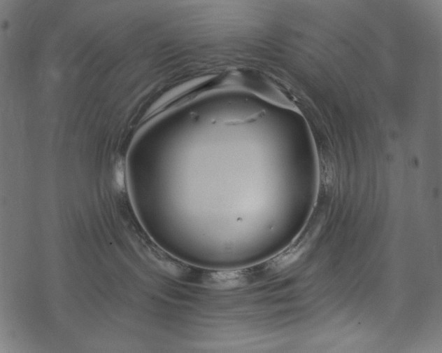 X0000073700095200608171124