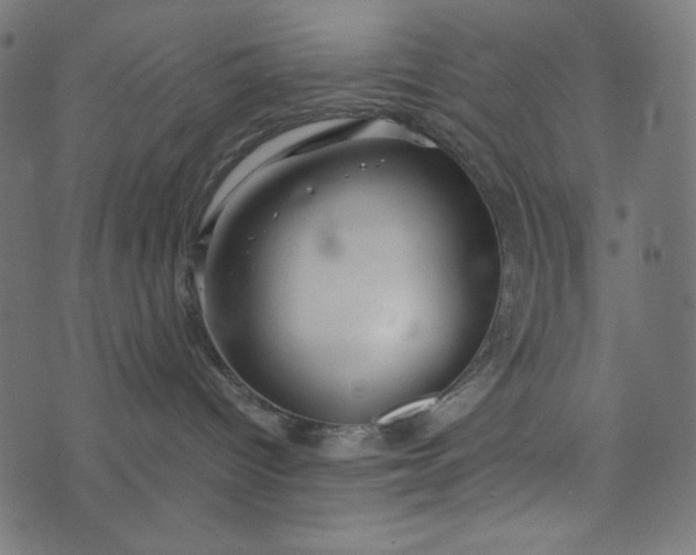 X0000073700096200608171124