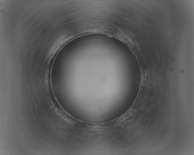 X0000073700098200608171123