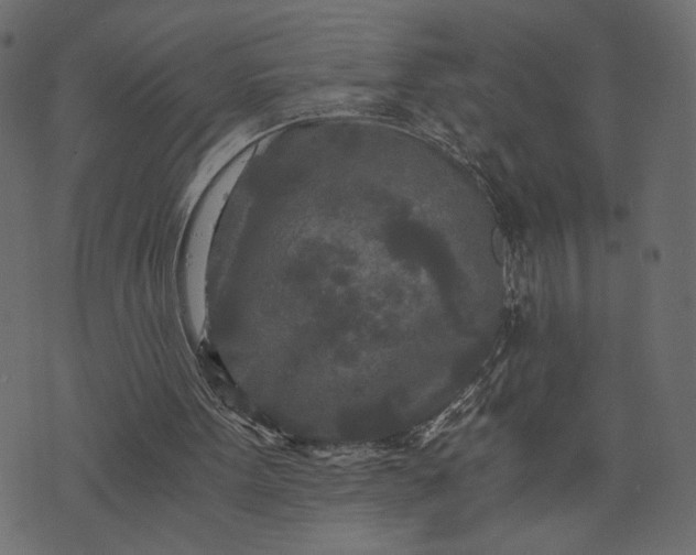 X0000073700099200608171123